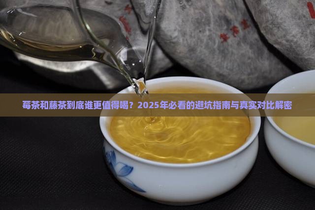 莓茶与藤茶的区别