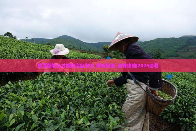 普洱茶怎么才能冲泡出泡沫
