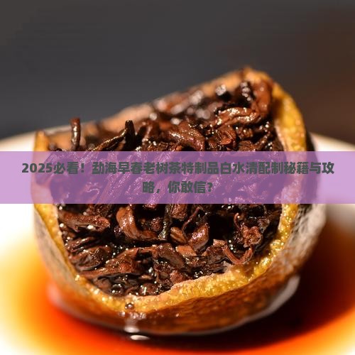 勐海早春老树茶特制品白水清配制