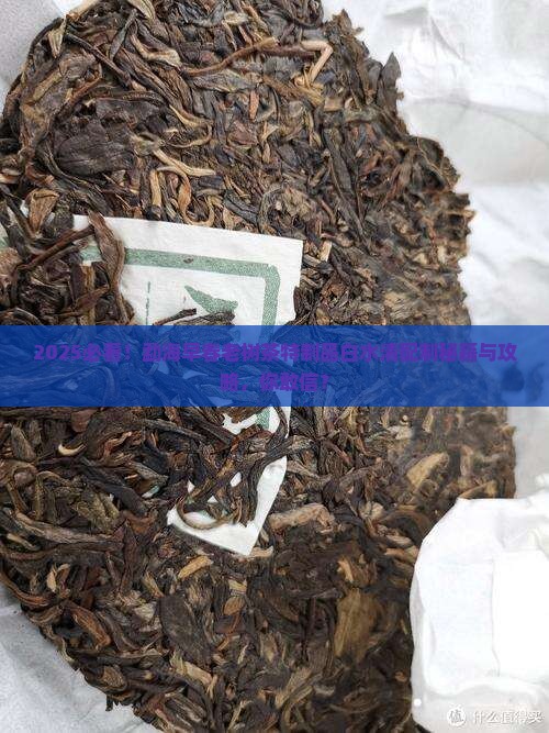 勐海早春老树茶特制品白水清配制