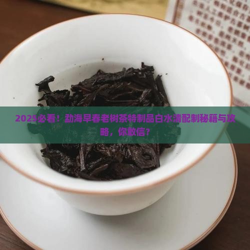 勐海早春老树茶特制品白水清配制