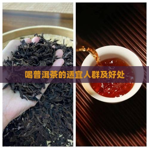 喝普洱茶的适宜人群及好处 喝普洱茶的适宜人群及好处