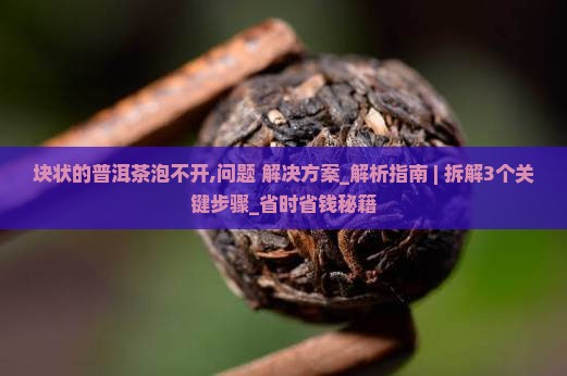 块状的普洱茶泡不开