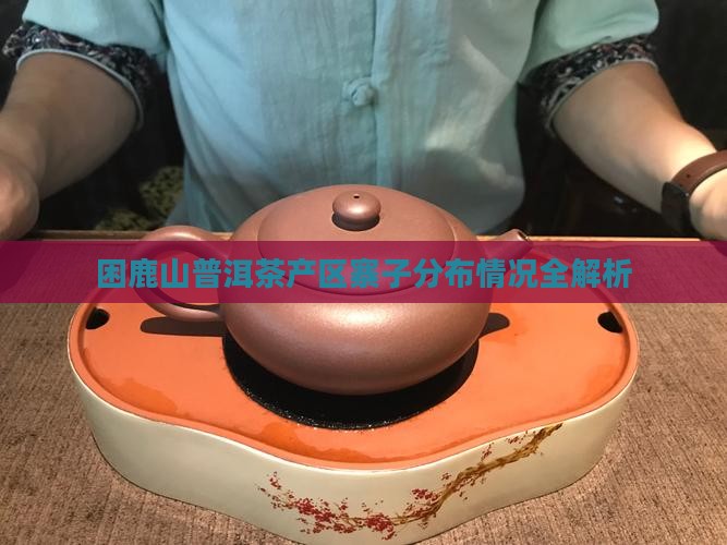 困鹿山普洱茶产区寨子分布情况