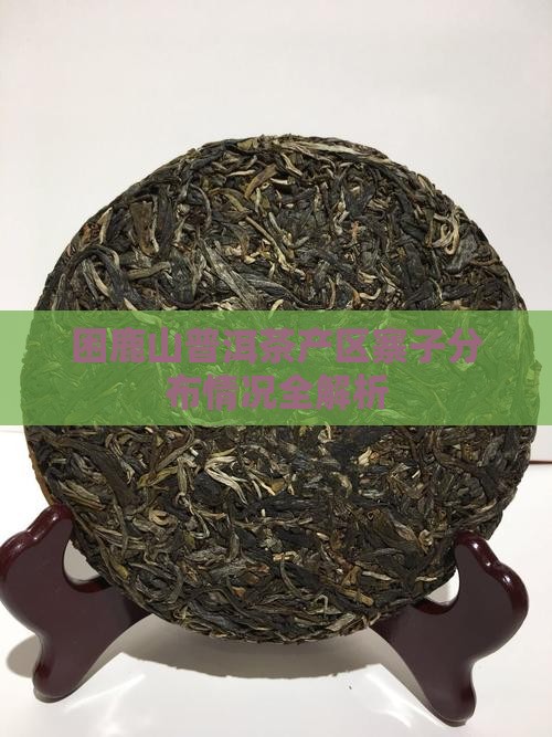困鹿山普洱茶产区寨子分布情况