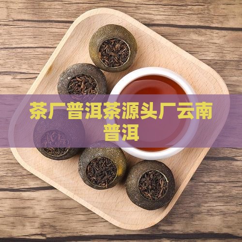 勇哥普洱茶源头厂