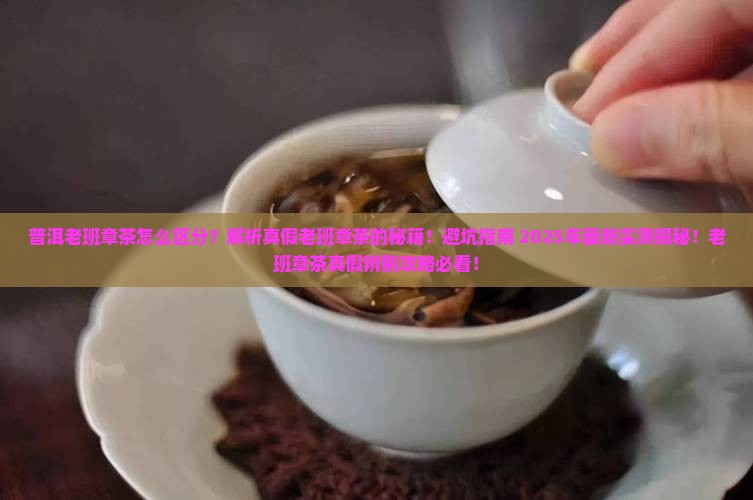 普洱老班章茶怎么区分