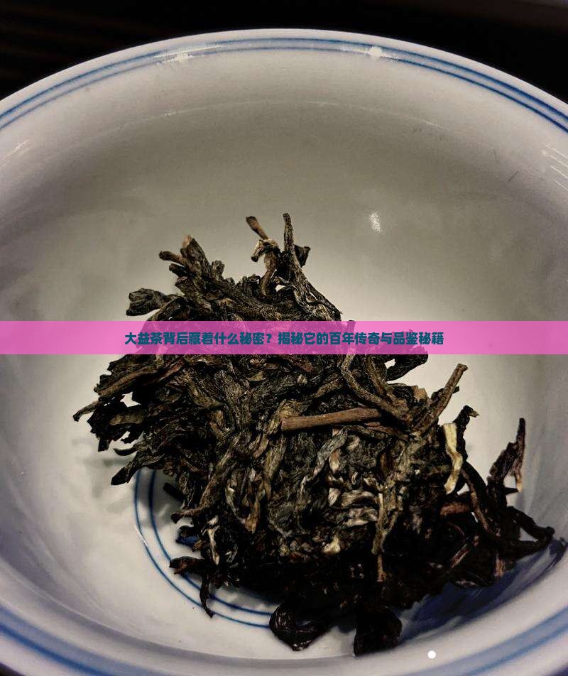 大益茶的发展历史