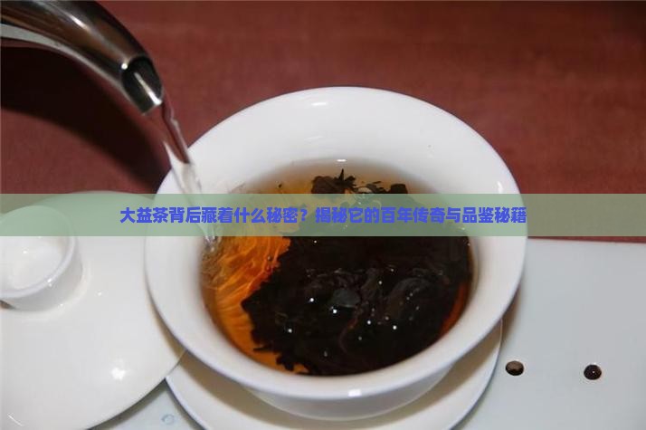 大益茶的发展历史