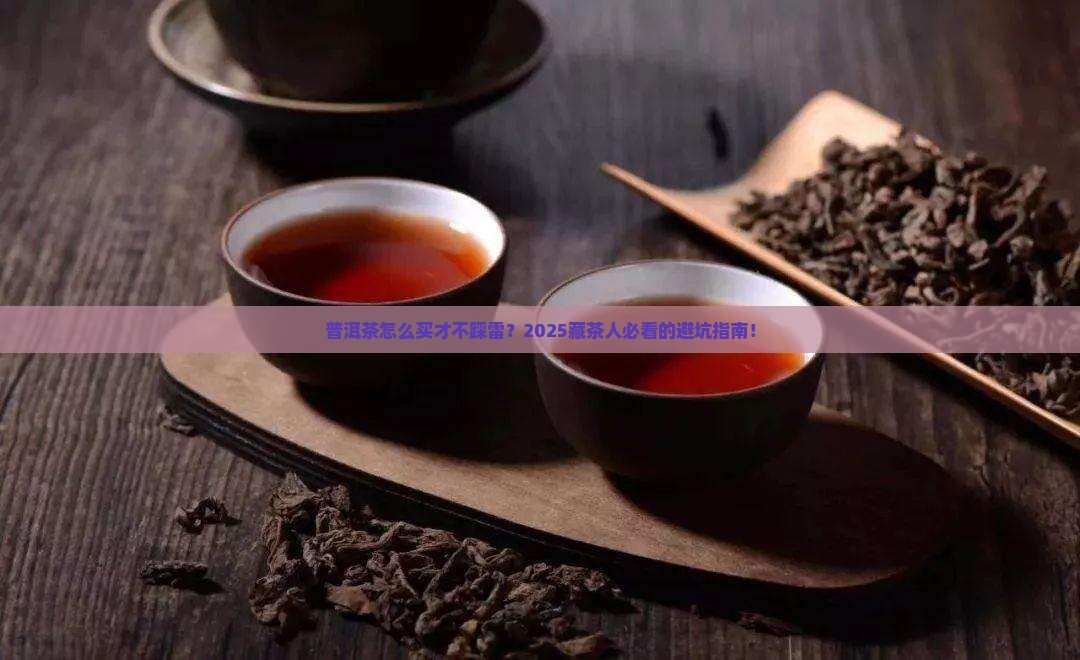 普洱茶应该如何购买藏