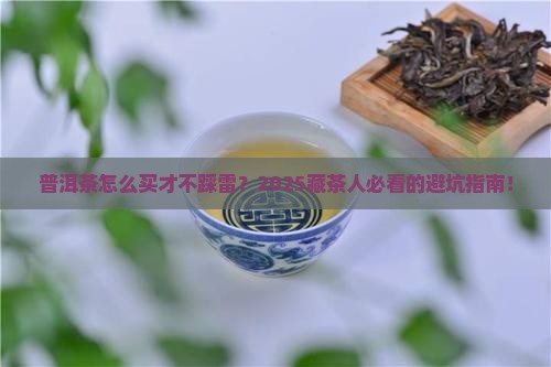普洱茶应该如何购买藏