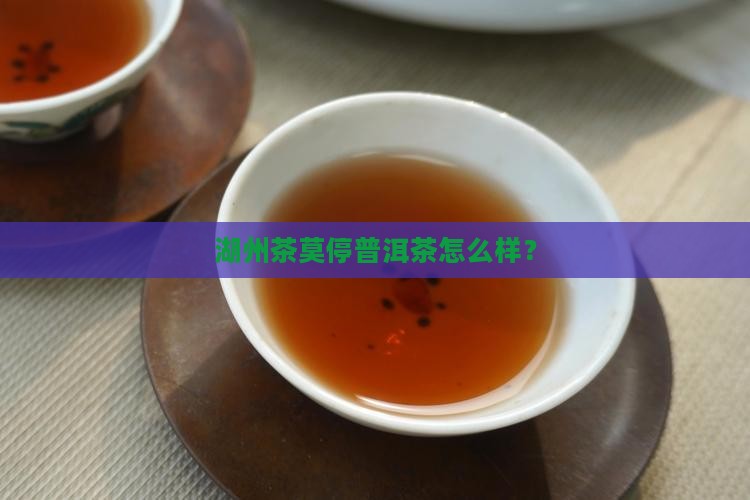 湖州茶莫停普洱茶