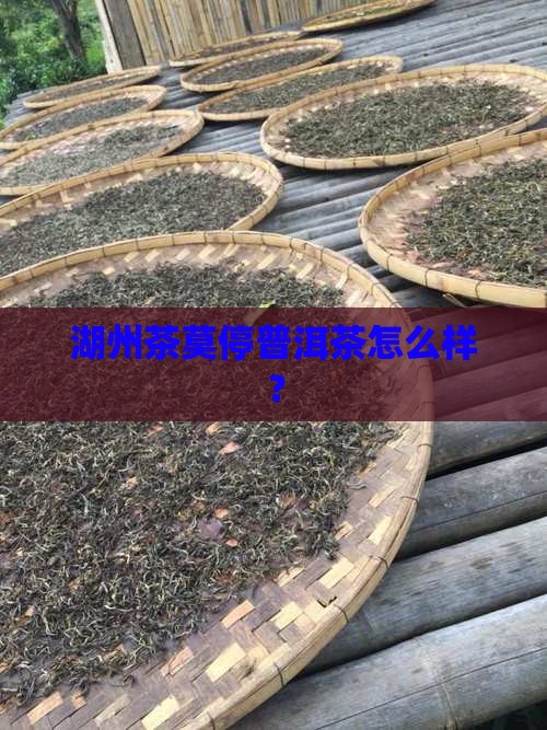 湖州茶莫停普洱茶