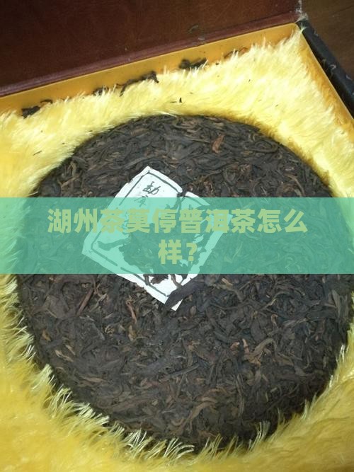 湖州茶莫停普洱茶