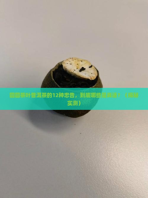 圆圆茶叶普洱茶的12种忠告