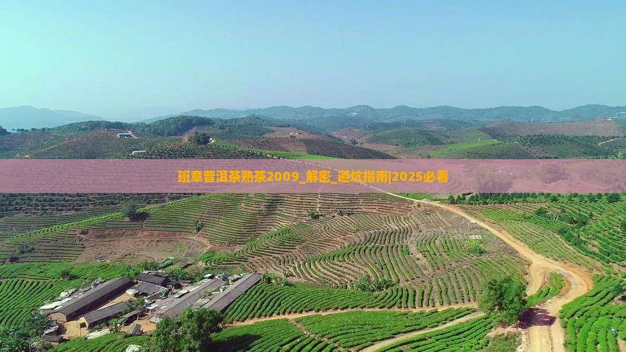 班章普洱茶熟茶2009