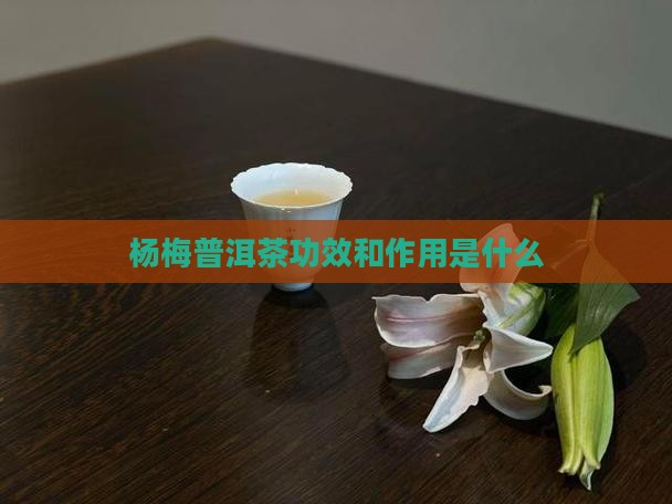 杨梅普洱茶功效和作用是什么