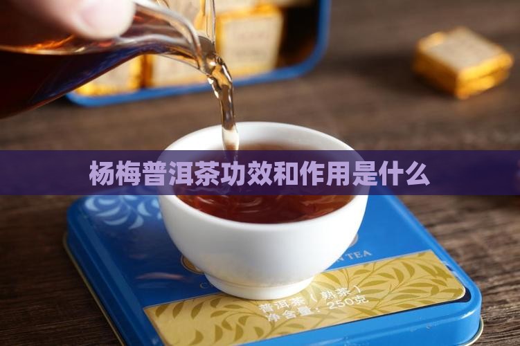 杨梅普洱茶功效和作用是什么