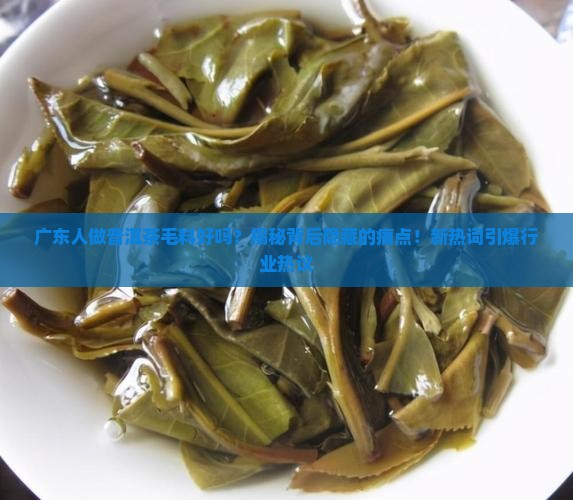 广东人做普洱茶毛料好吗