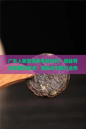 广东人做普洱茶毛料好吗