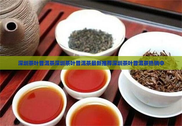 深圳茶叶普洱茶