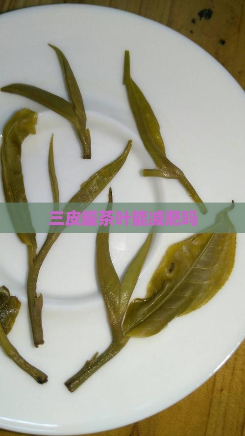 三皮罐茶叶能减肥吗