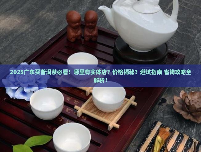 广东哪里有卖普洱茶的实体店
