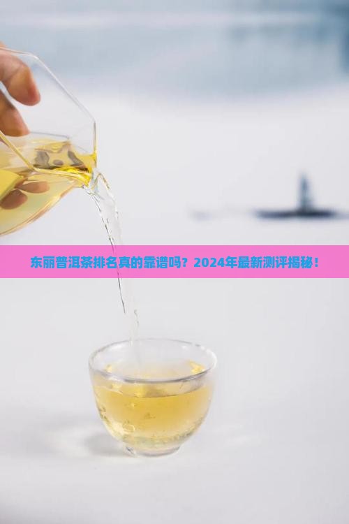 东丽普洱茶排名