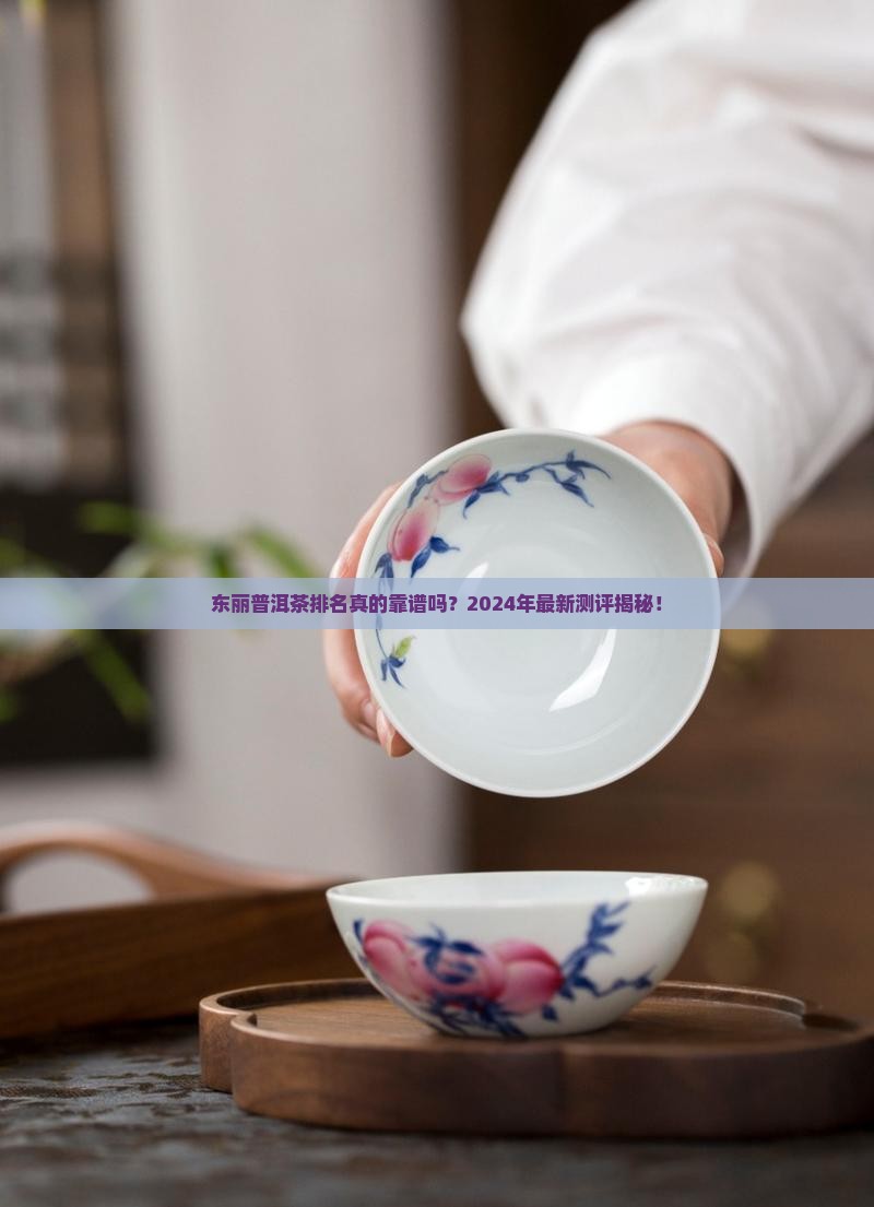 东丽普洱茶排名