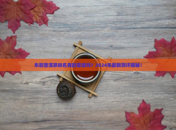 东丽普洱茶排名