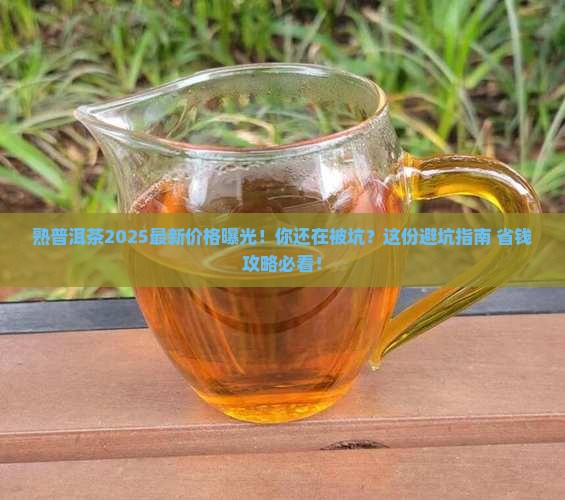 熟普洱茶最新市场价