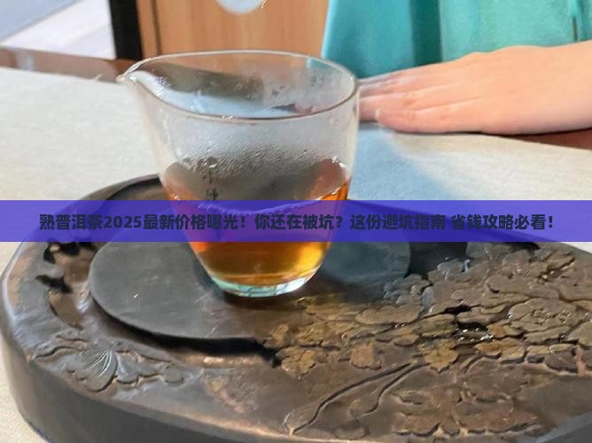 熟普洱茶最新市场价