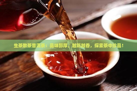 生茶散茶普洱茶