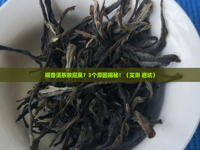 喝普洱茶放屁臭