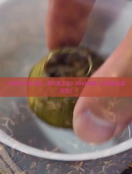 千家寨和普洱茶哪个好喝