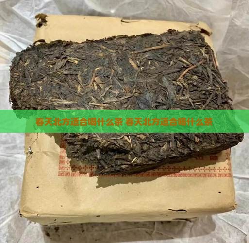 春天北方适合喝什么茶