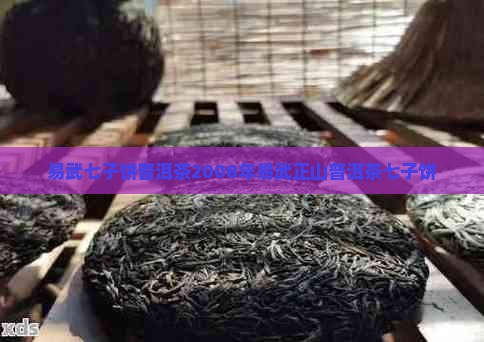 易武七子饼普洱茶