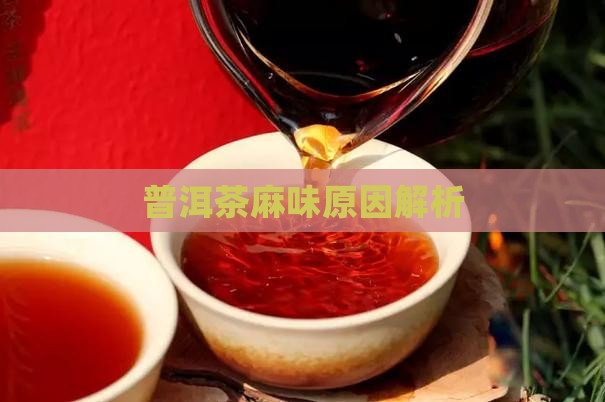 普洱茶麻味是什么原因
