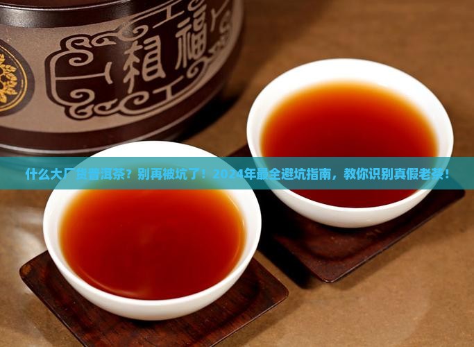 什么大厂货普洱茶