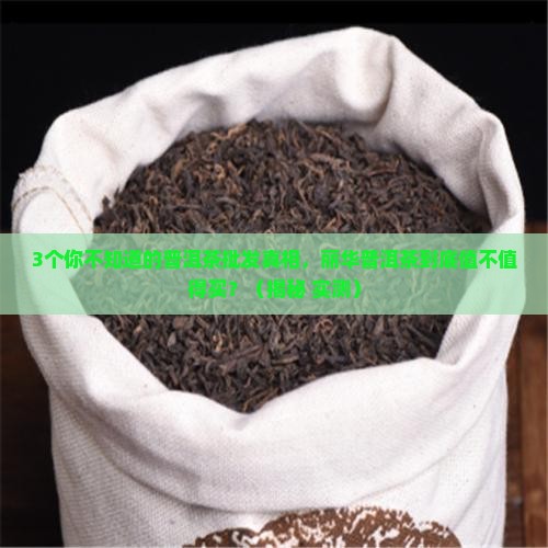 丽华普洱茶批发