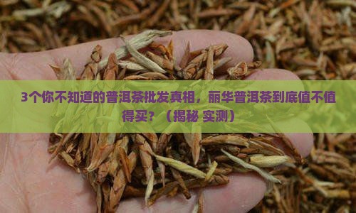丽华普洱茶批发