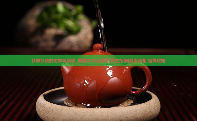 杜仲红茶的功效与禁忌