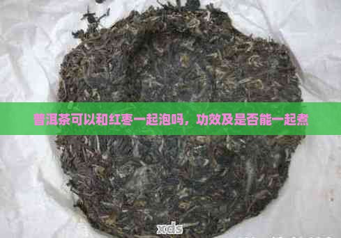普洱茶可以和红枣一起泡吗