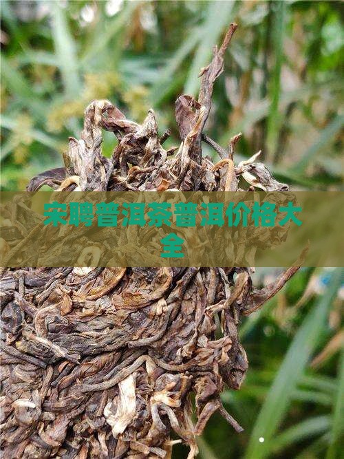 宋聘2012普洱茶