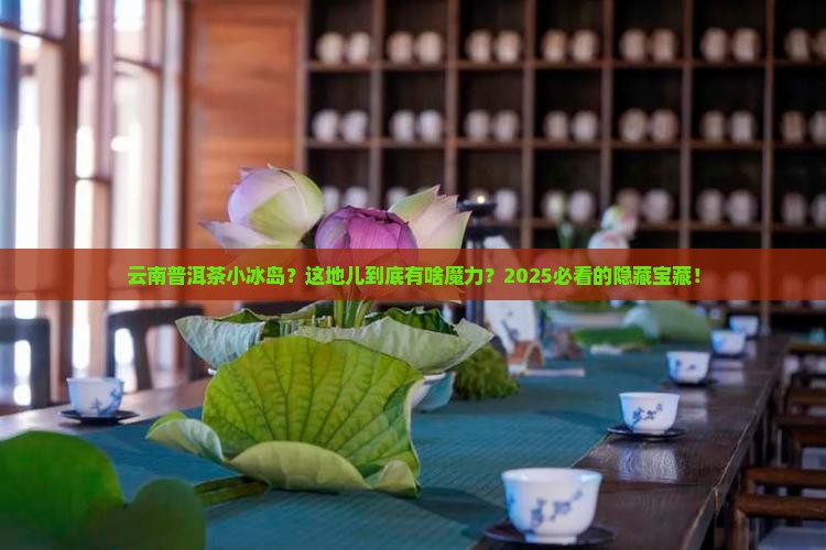 云南普洱茶小冰岛