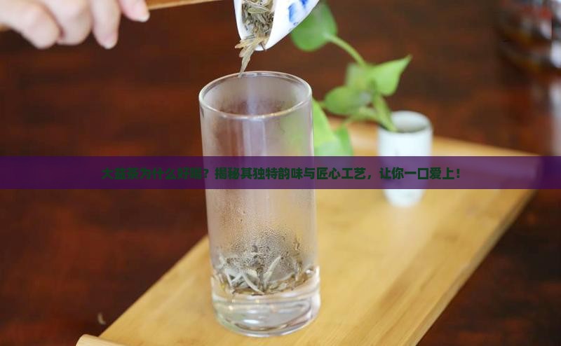 大益茶为什么好喝