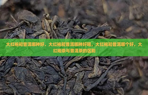 大红袍和普洱哪种好