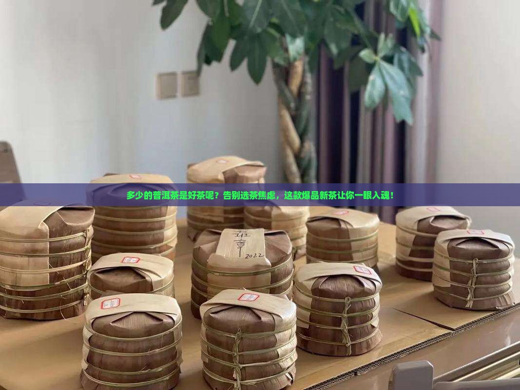 多少的普洱茶是好茶呢