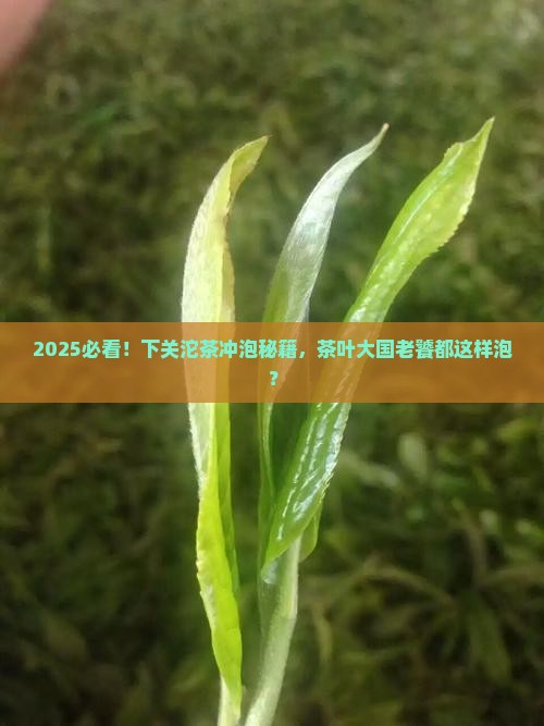 下关沱茶怎么冲泡茶叶消费大国
