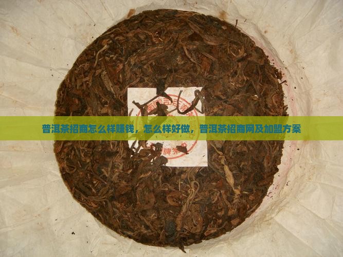 普洱茶招商怎么样